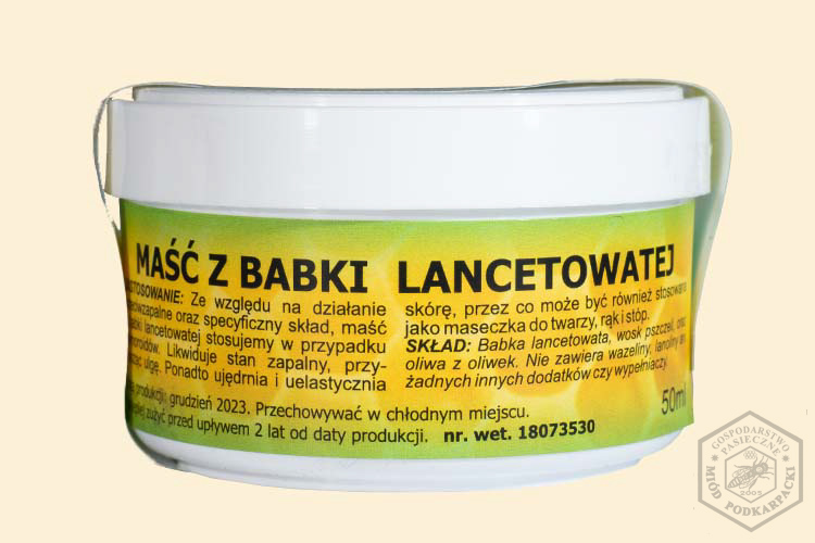 MA�� Z BABKI LANCETOWATEJ